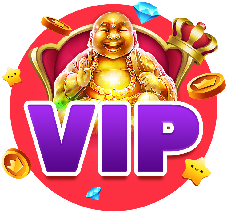 vip program